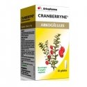 Cranberryne Arkogelules Arkopharma x45 gélules