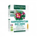 Santarôme Bio Harpagophytum Bio 2000 20 ampoules de 10ml 