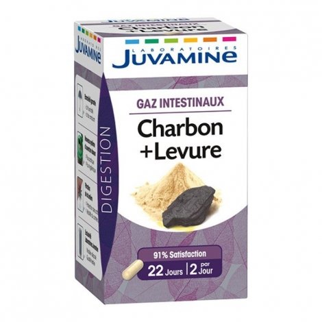 Juvamine Gaz Intestinaux Charbon + Levure 45 gélules pas cher, discount