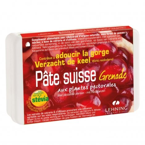 Lehning Pâte Suisse Grenade 40 gommes pas cher, discount