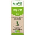 Herbalgem Sequoia macerat 50ml