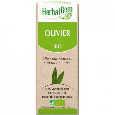 Herbalgem Olivier macerat 15ml pas cher, discount