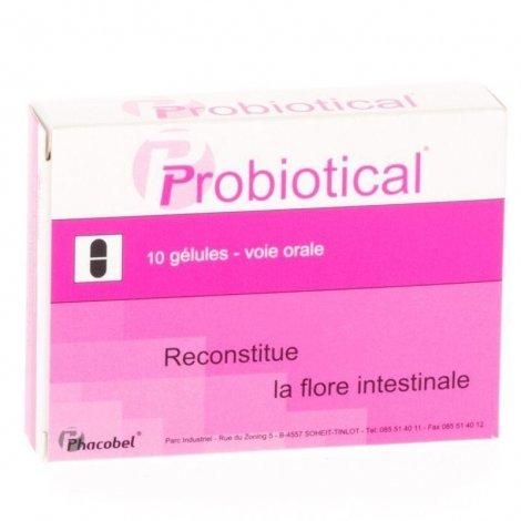 Phacobel Probiotical 10 gélules pas cher, discount