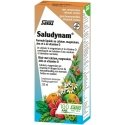 Salus Saludynam Mineral-Drink 250ml