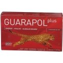 Guarapol Plus 20 ampoules de 10ml