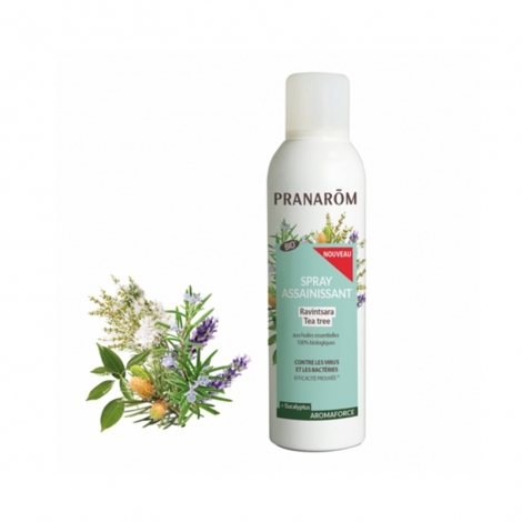 Pranarom Aromaforce Spray Assainissant Ravintsara Tea Tree Bio 400ml pas cher, discount