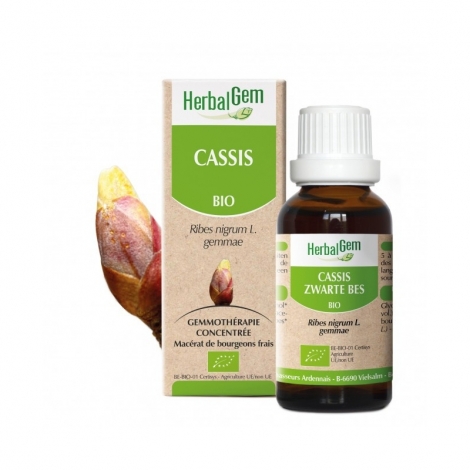 Herbalgem Cassis bio 30ml pas cher, discount