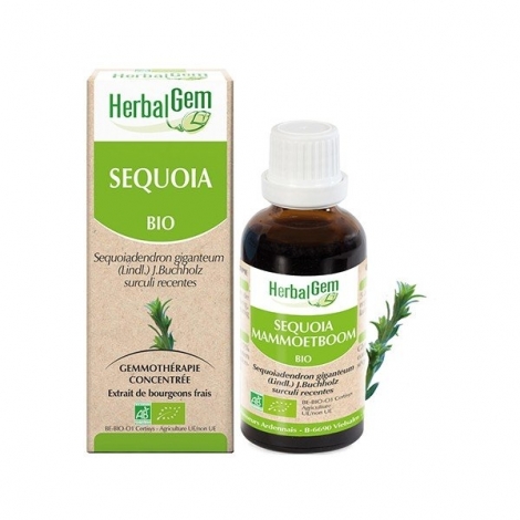 Herbalgem Sequoïa bio 30ml pas cher, discount