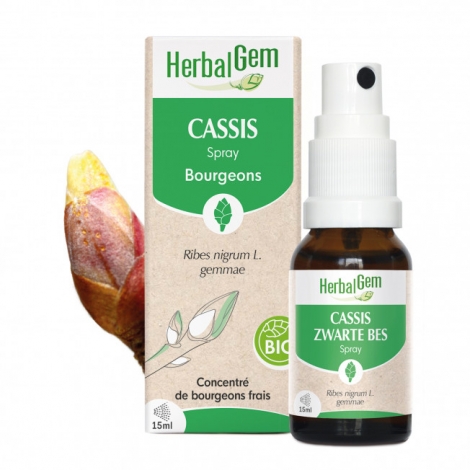Herbalgem Cassis spray bio 15ml pas cher, discount