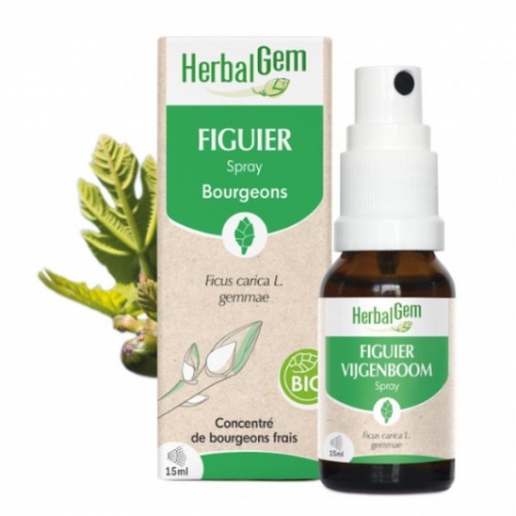 Herbalgem Figuier Spray bio 15ml pas cher, discount