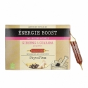 PhytoVitae Energie Boost 20 ampoules