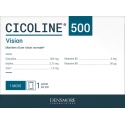 Cicoline 500 Complément Alimentaire Choline et Vitamines x 30 Sachets